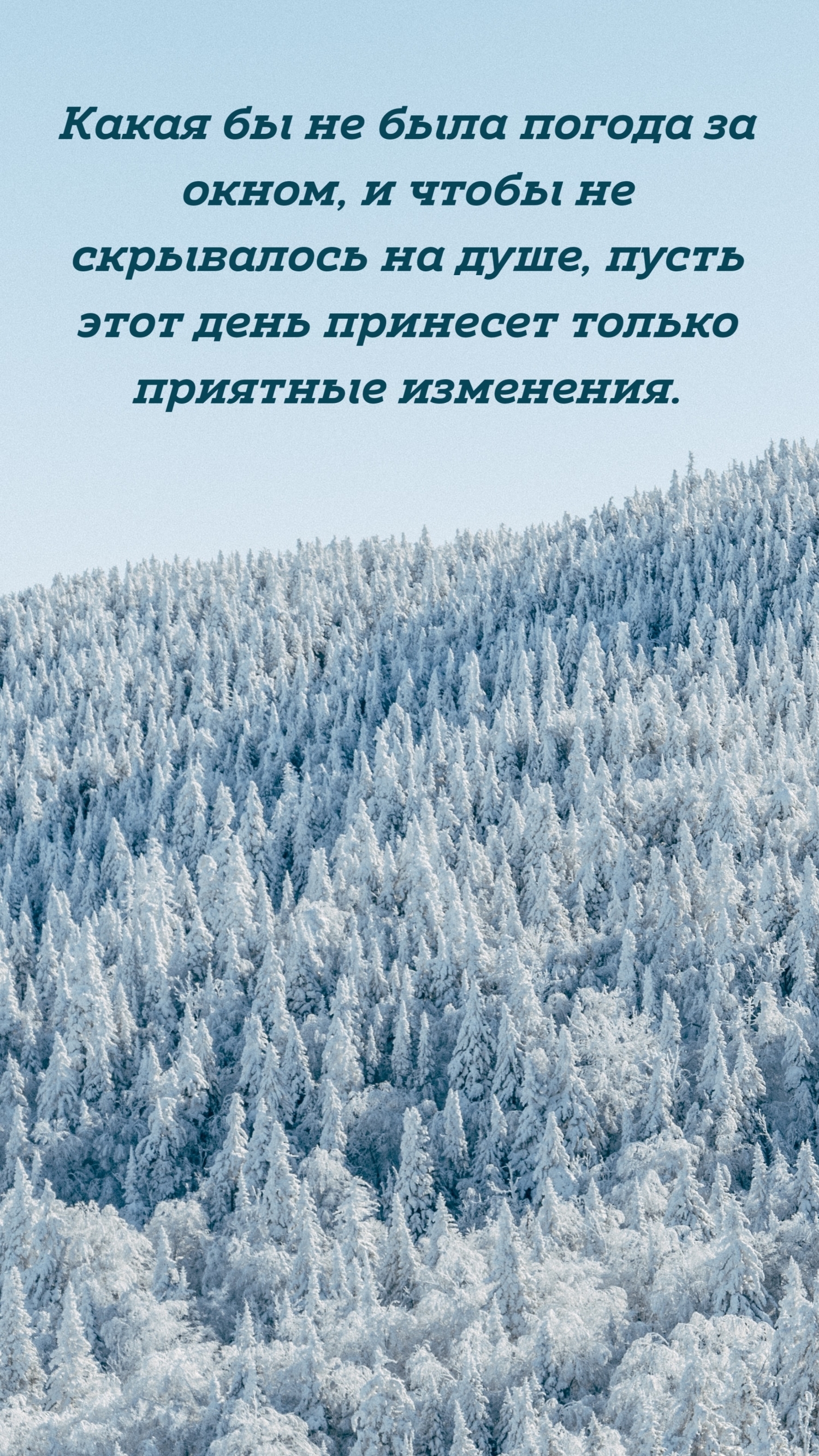   :       ,      