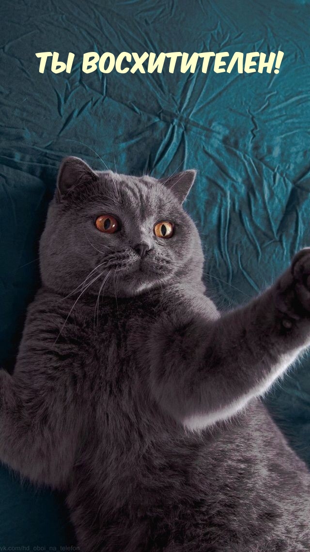   :  !
