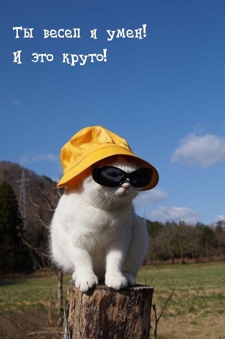    !   !.