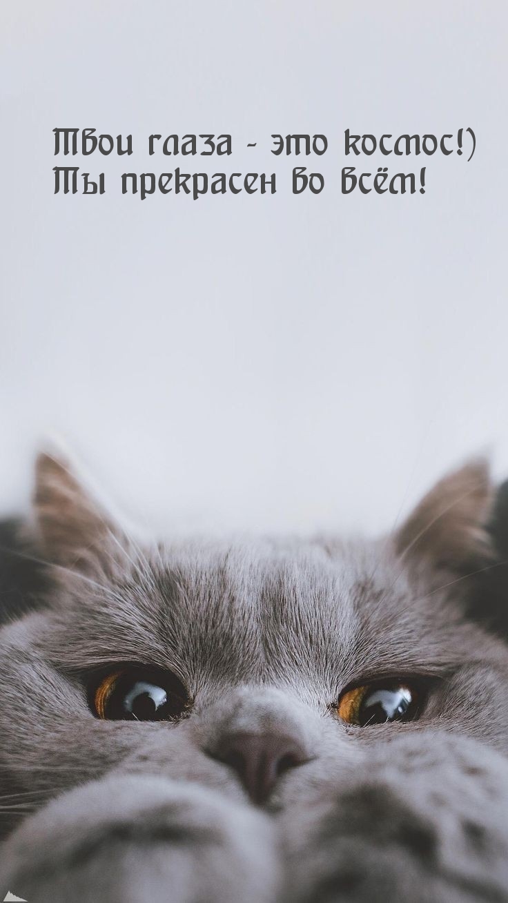   :   -  !)    !