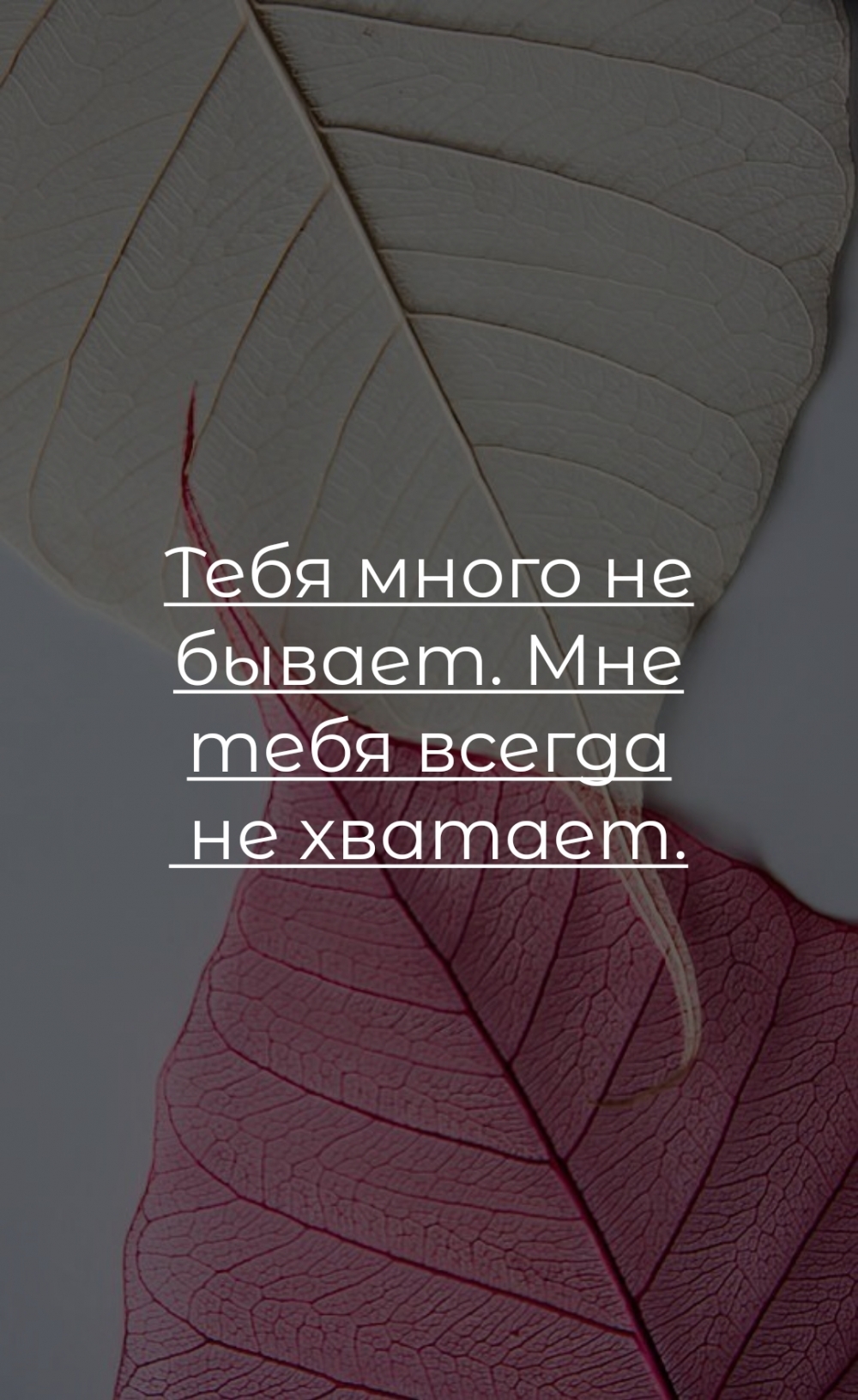 Тебя много не бывает. Мне тебя всегда не хватает.