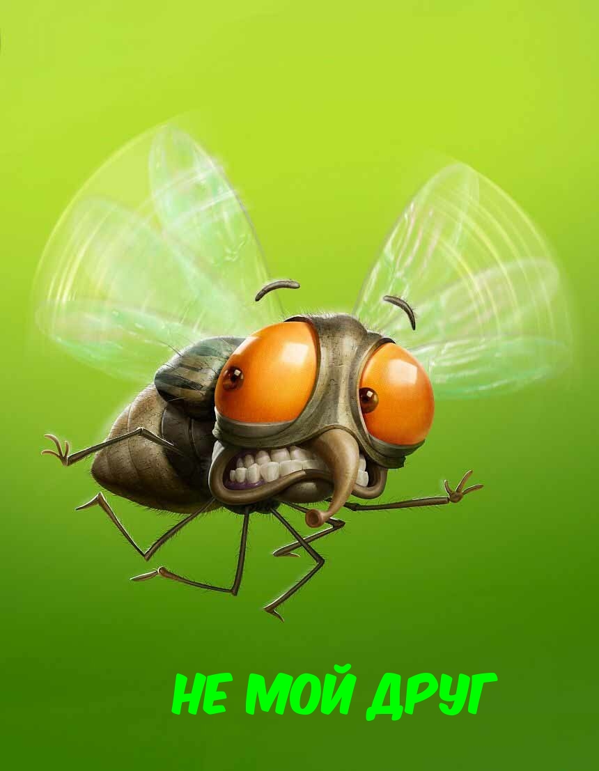 Не мой друг