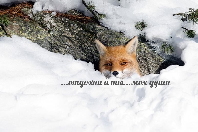  : ...  ... 