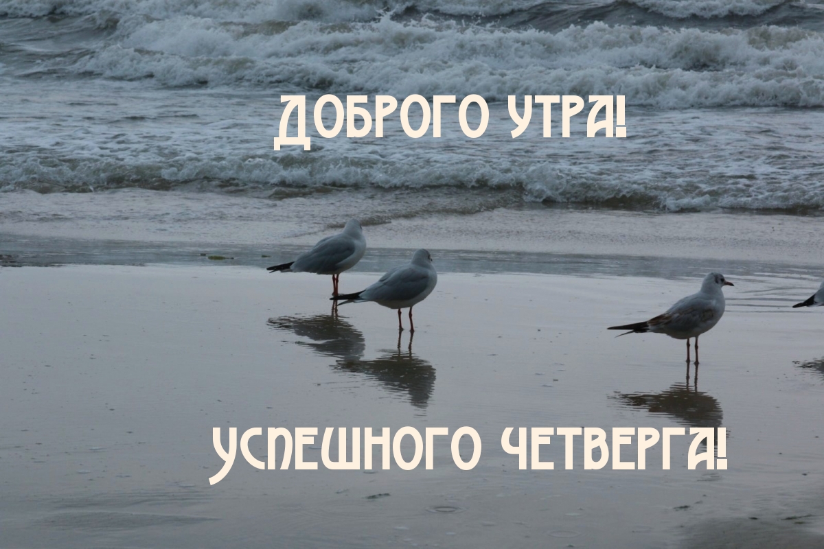 Доброго утра! Успешного четверга!