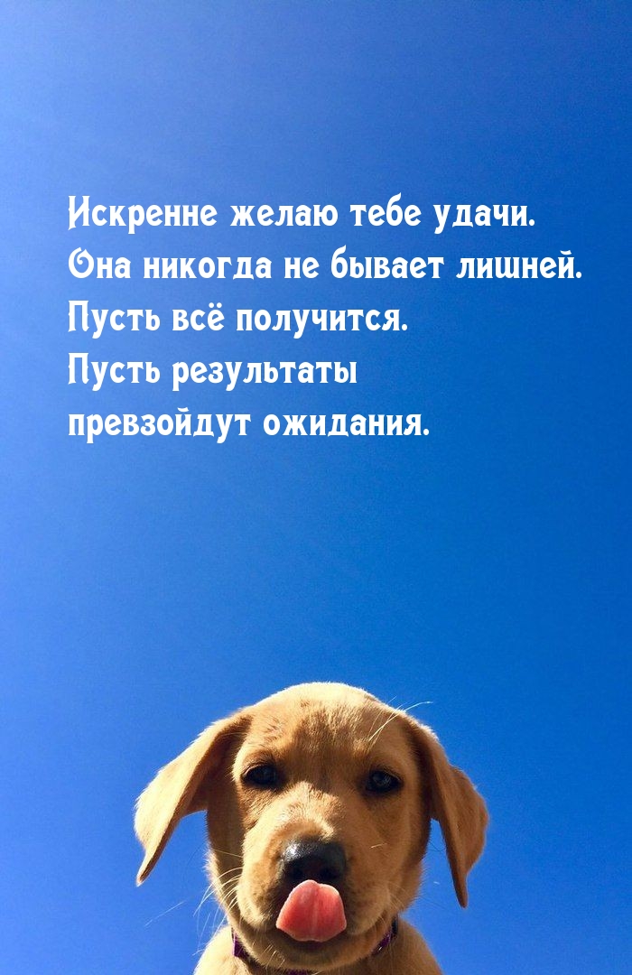Искренне желаю тебе удачи..