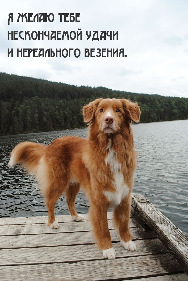        ..