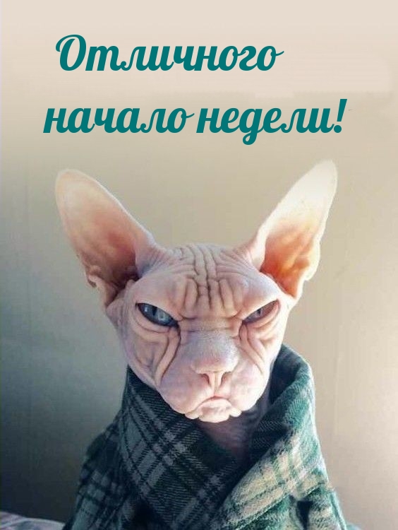   !.
