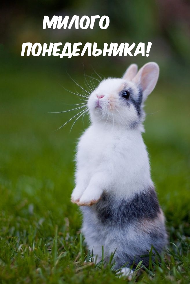   :  !