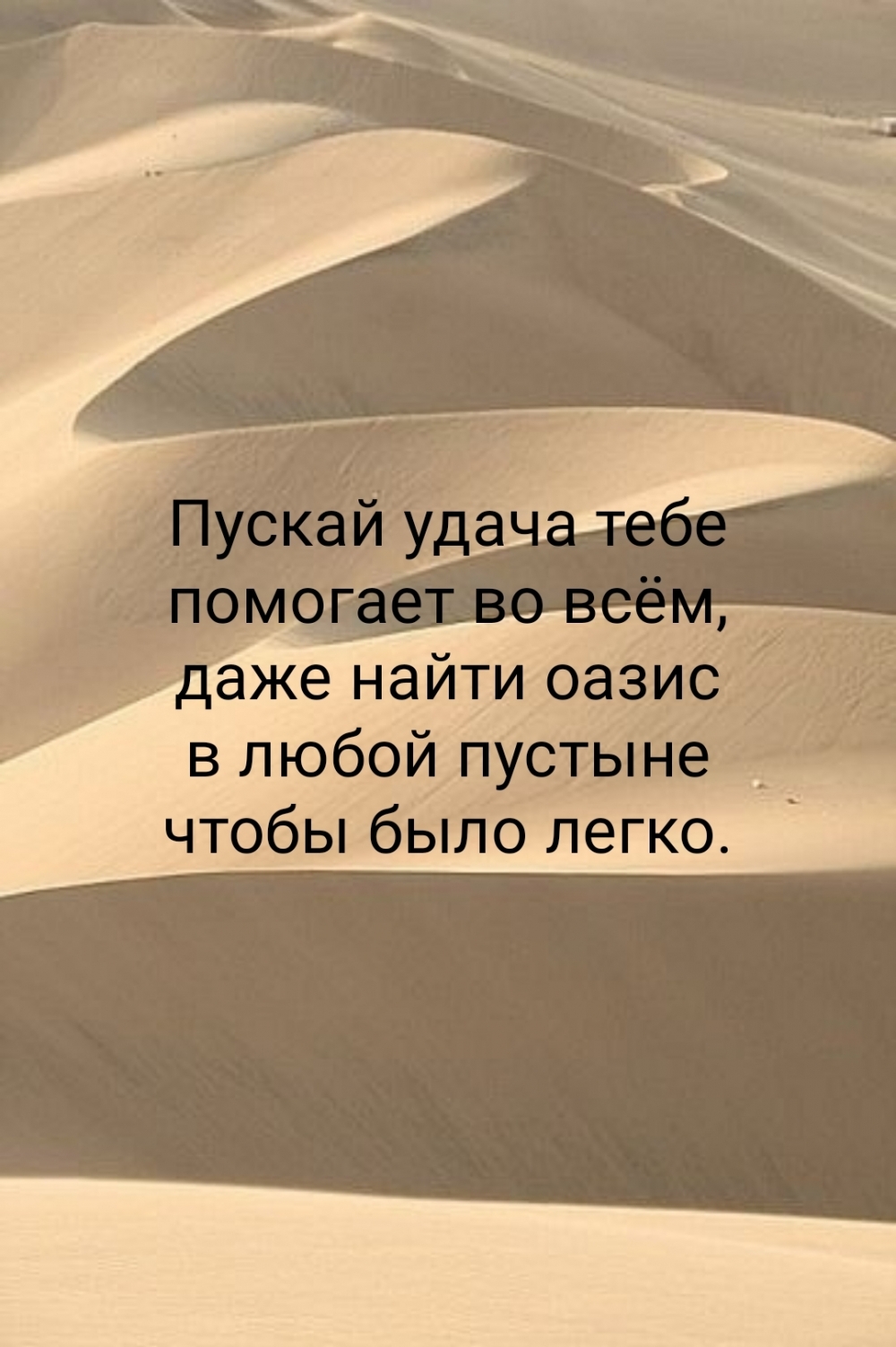   :      