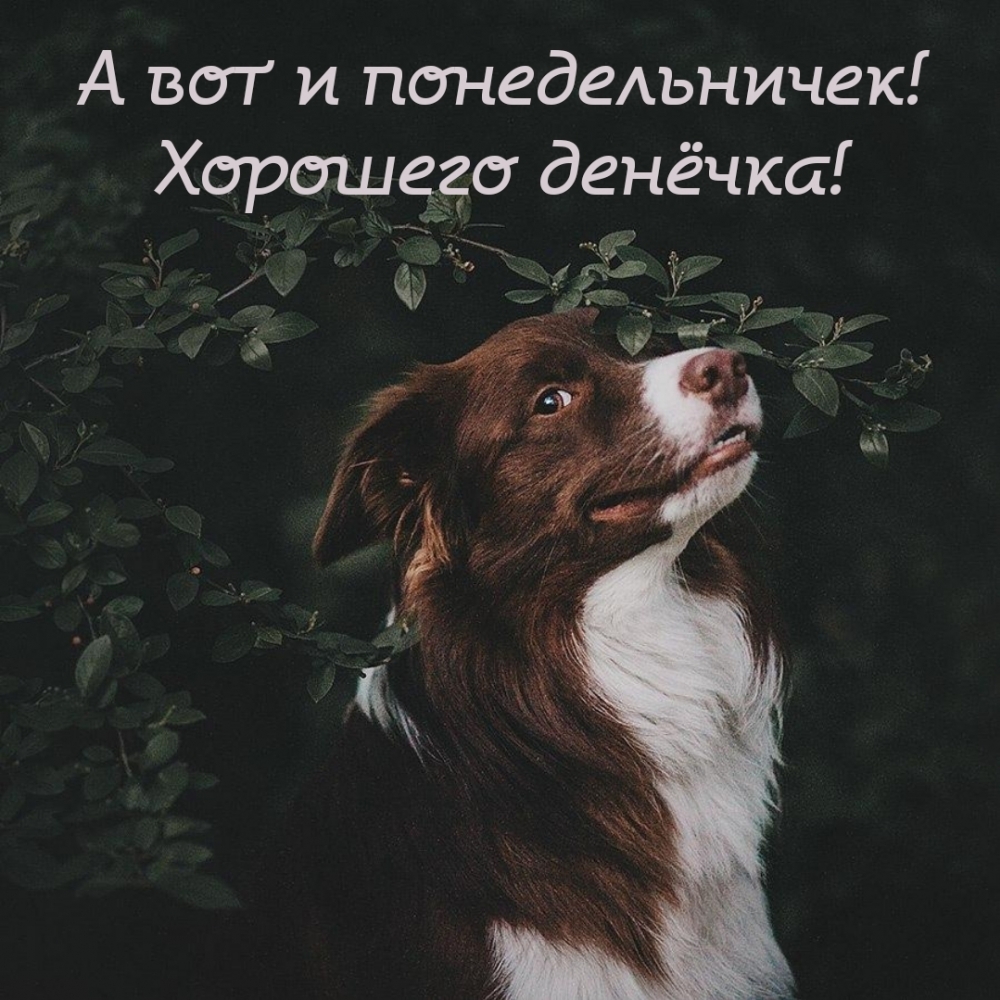   :    !  !
