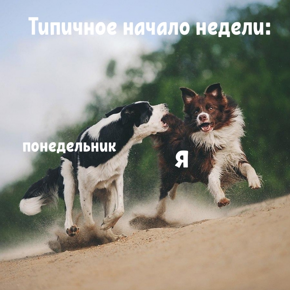   :   :  