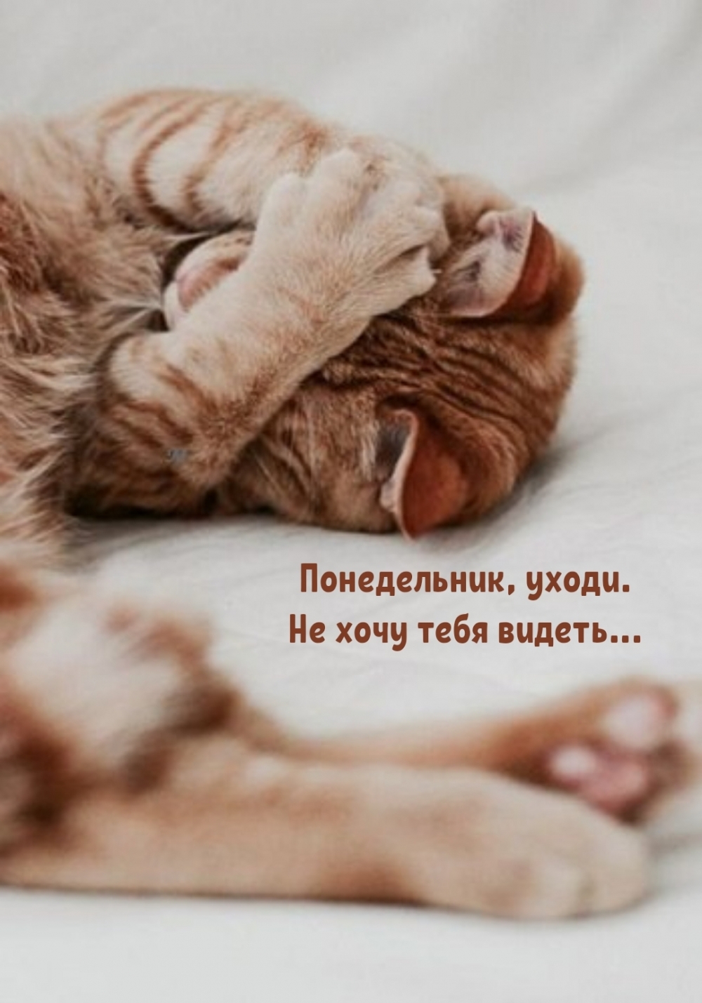   : , .    ...