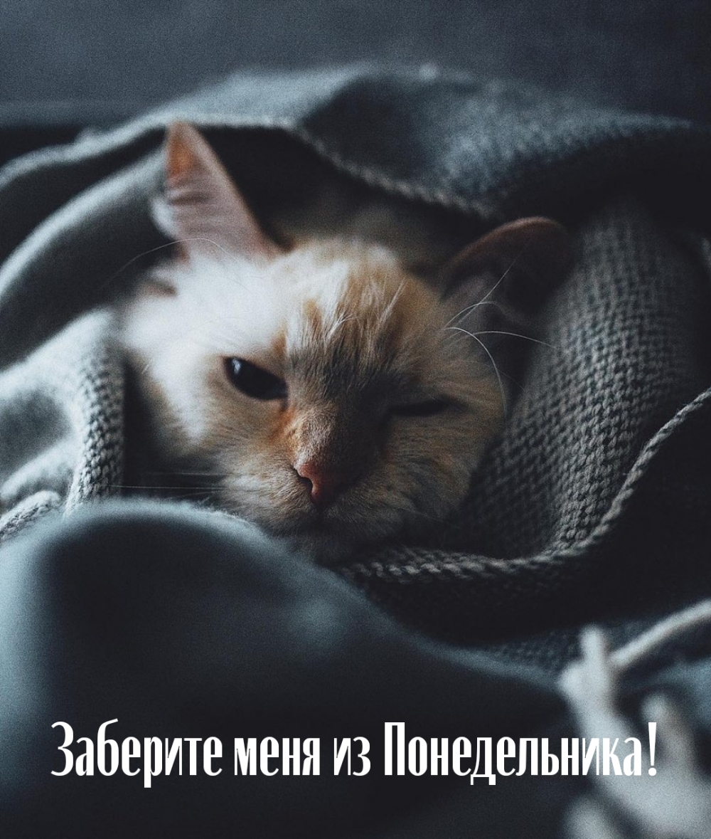 Заберите меня из Понедельника!