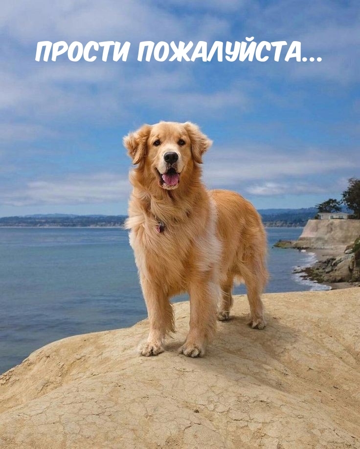 Прости пожалуйста...