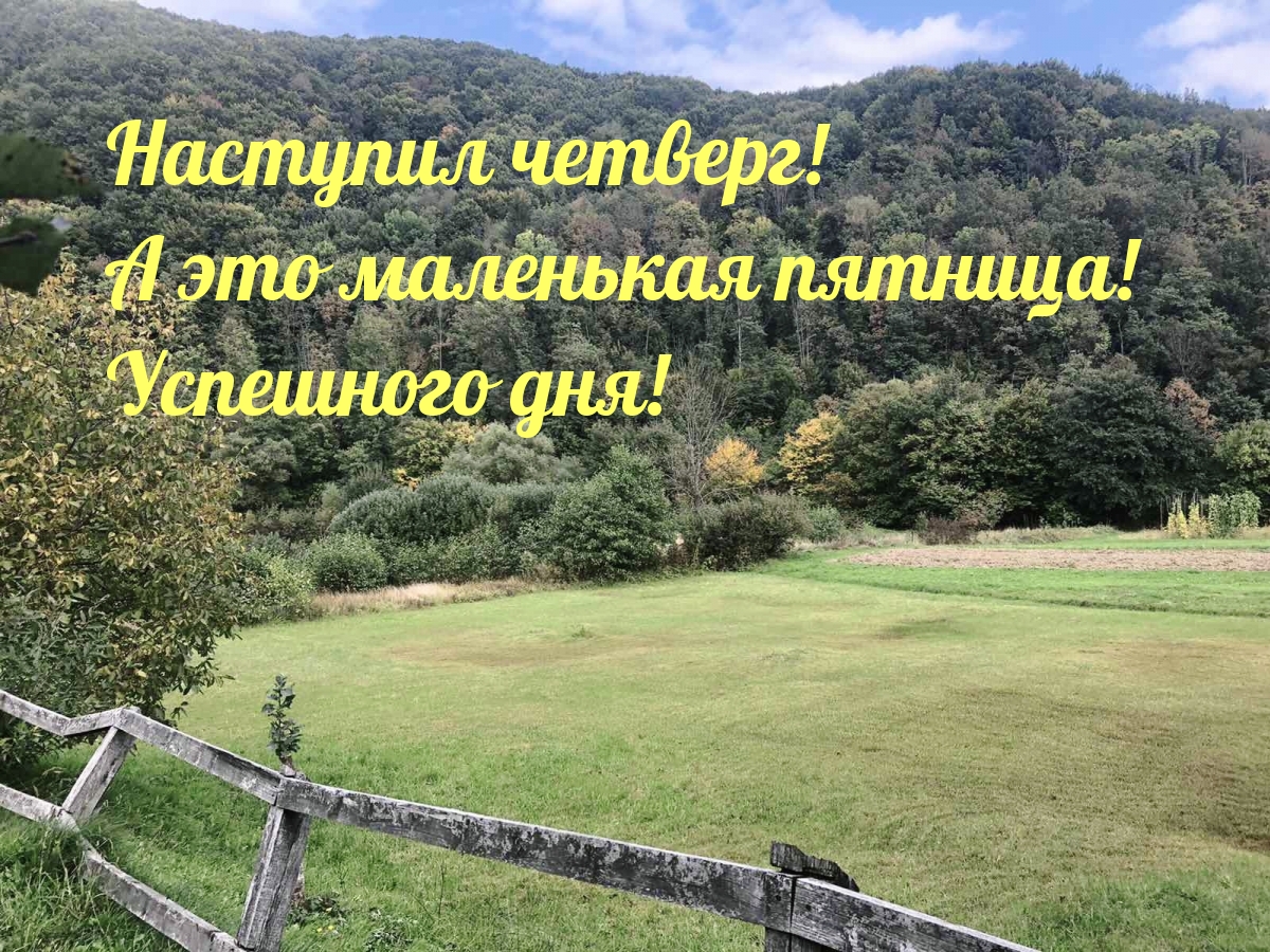   :  !    !  !