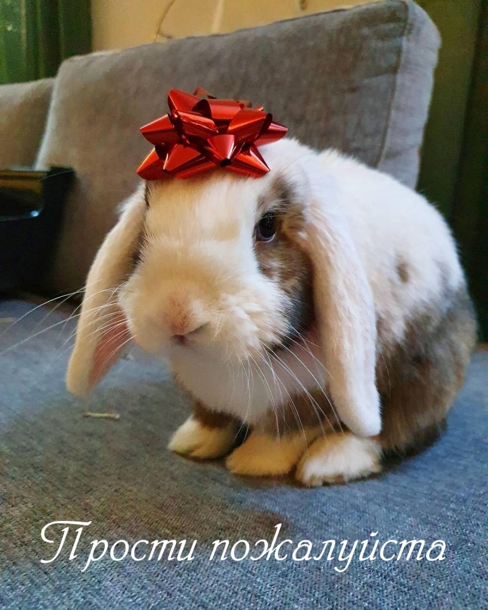 Прости пожалуйста