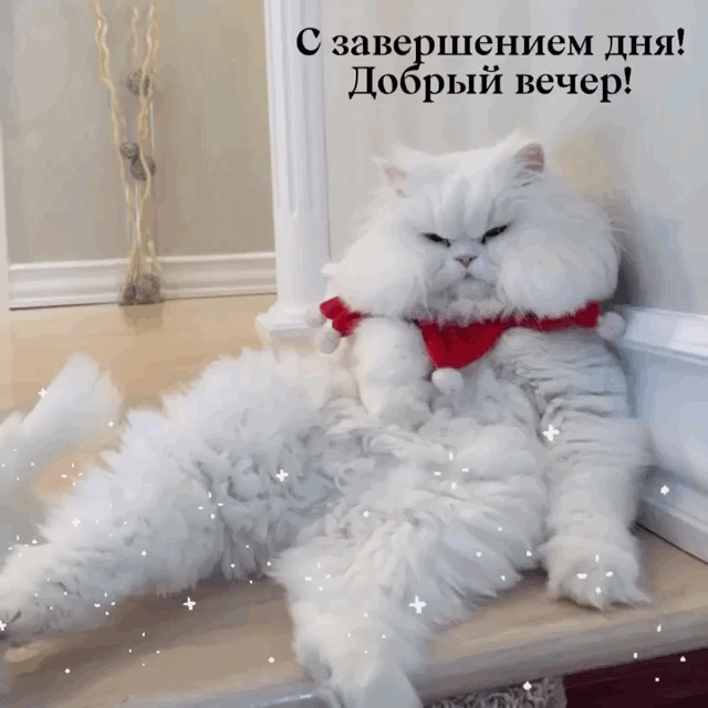   :   !  !