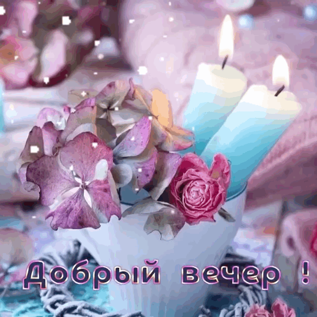 Добрый вечер!.