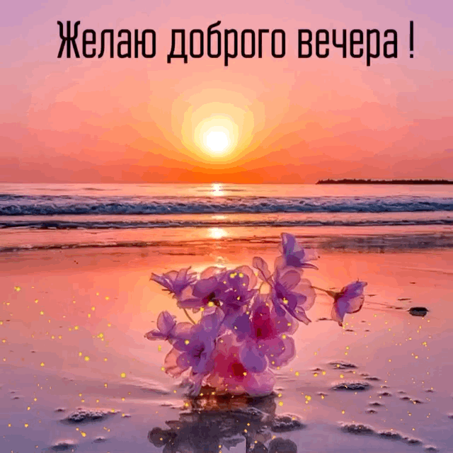   :   