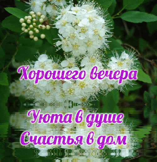 Хорошего вечера Уюта в душе.
