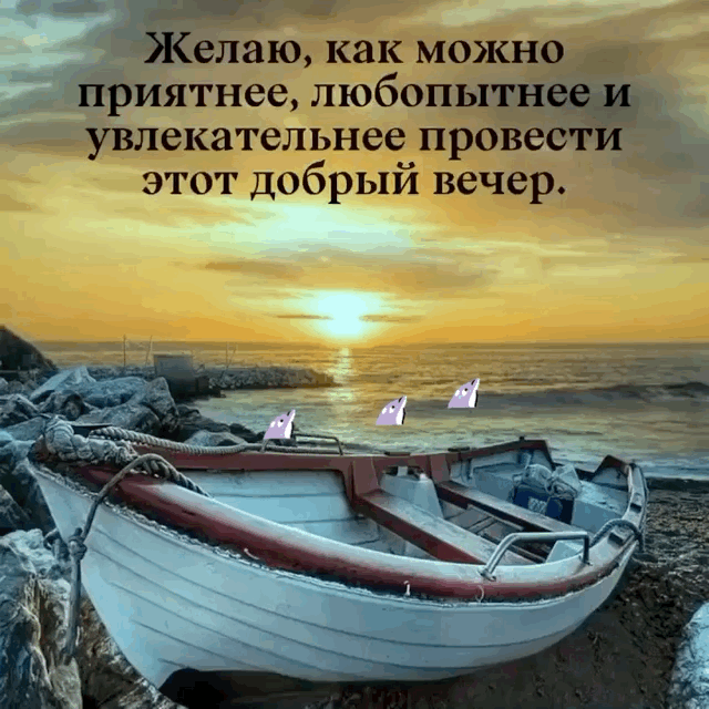   : ,     .