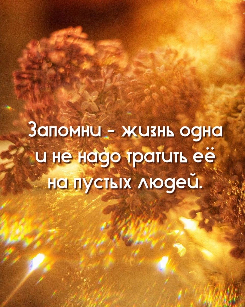 Запомни - жизнь одна и не надо тратить её на пустых людей.