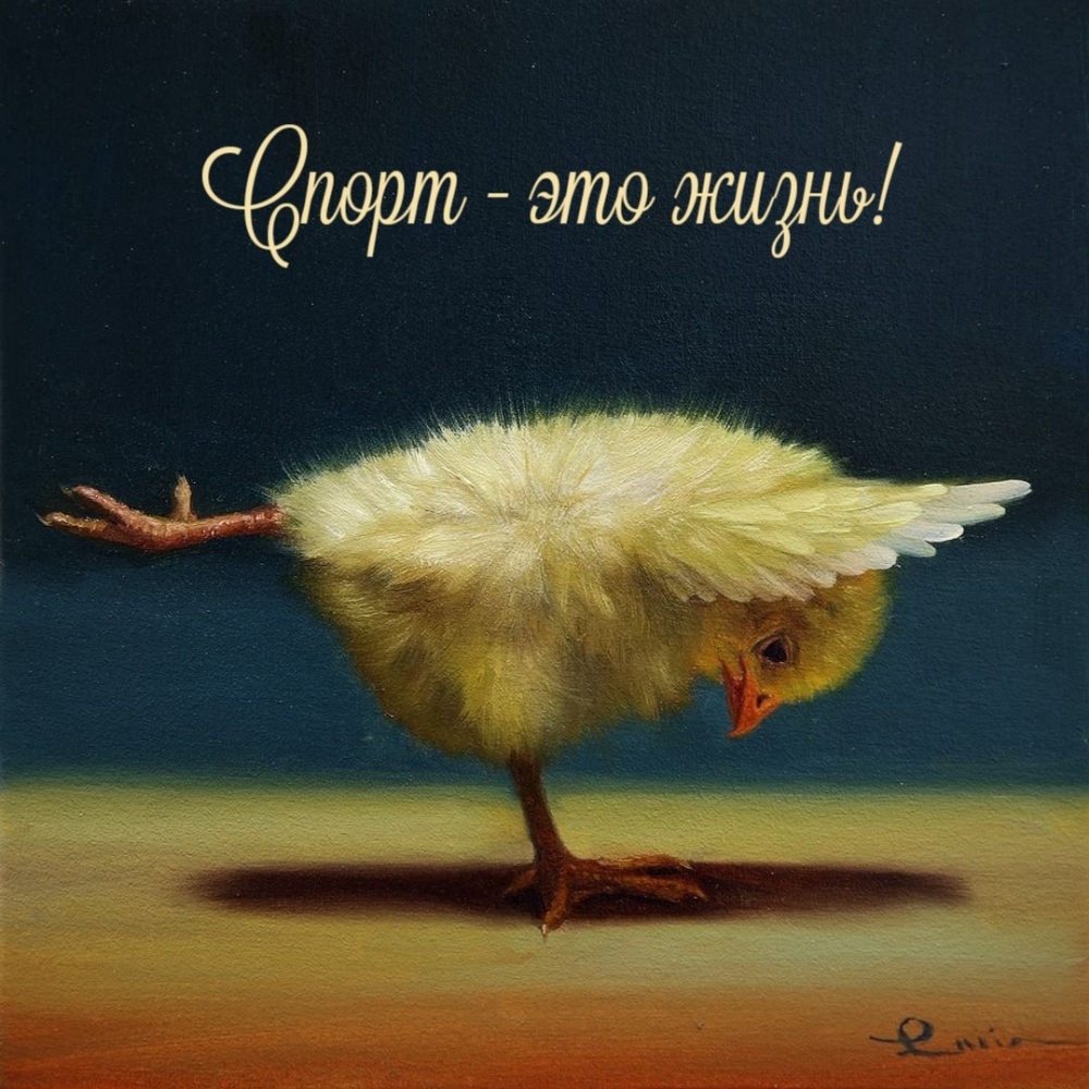 Спорт - это жизнь!