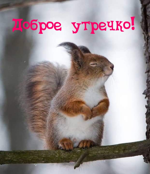  !.