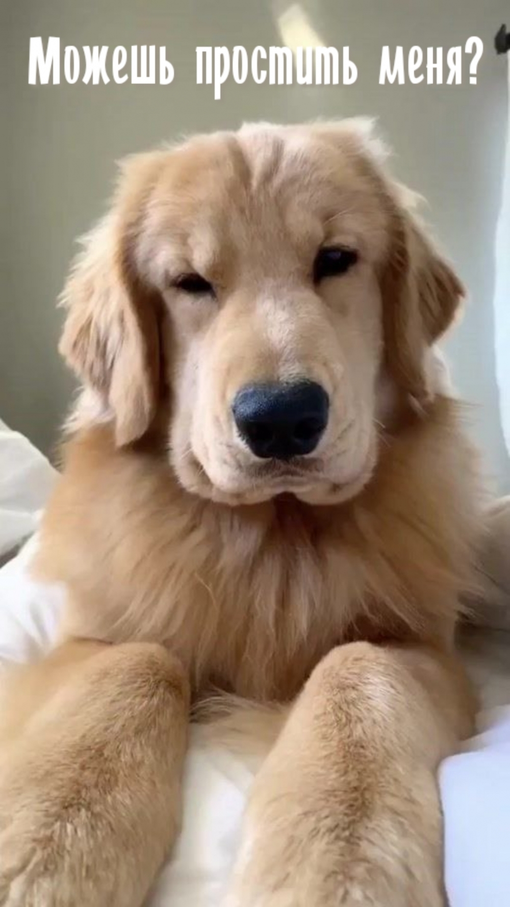   :   ?