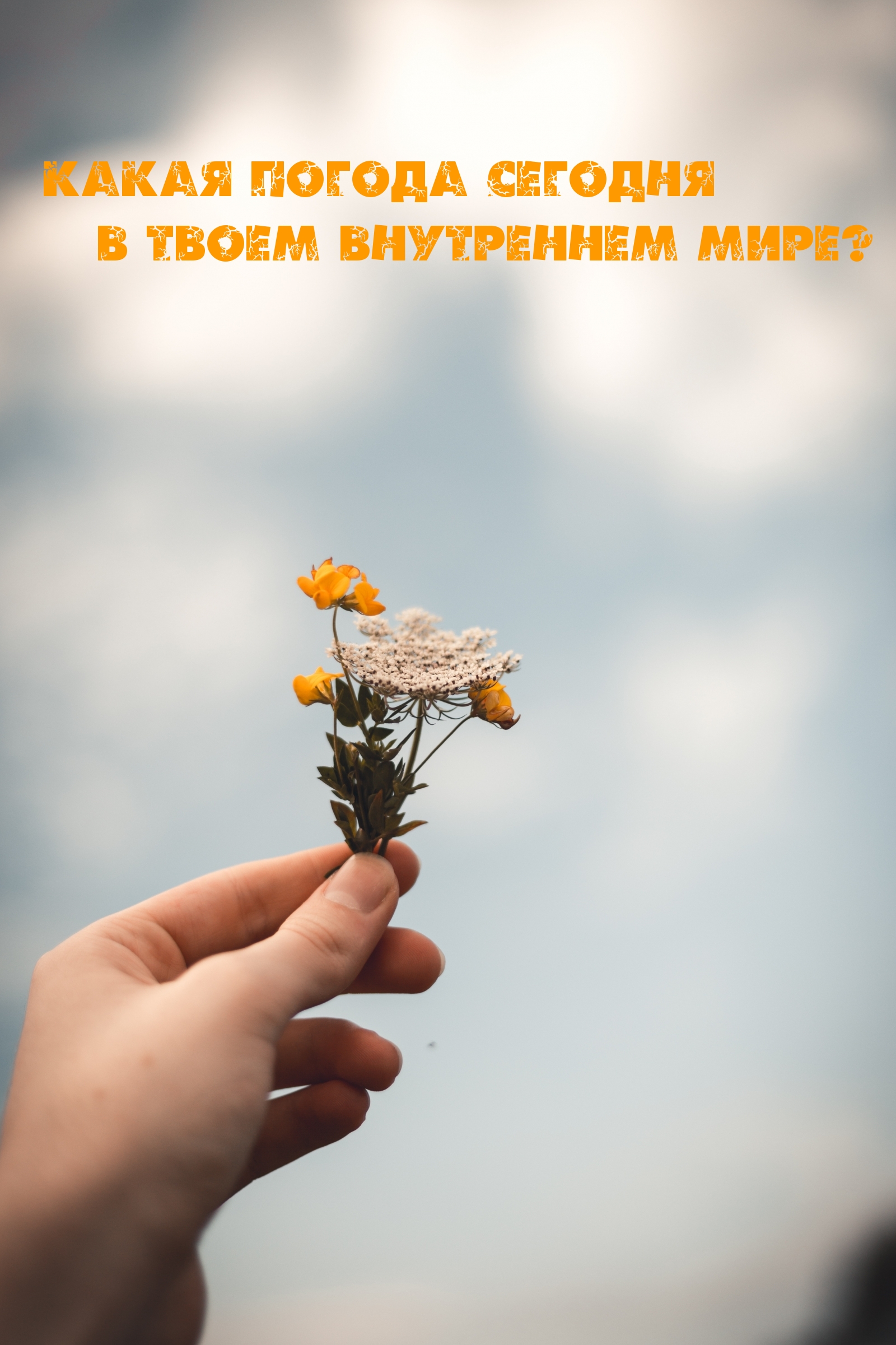   :       ?