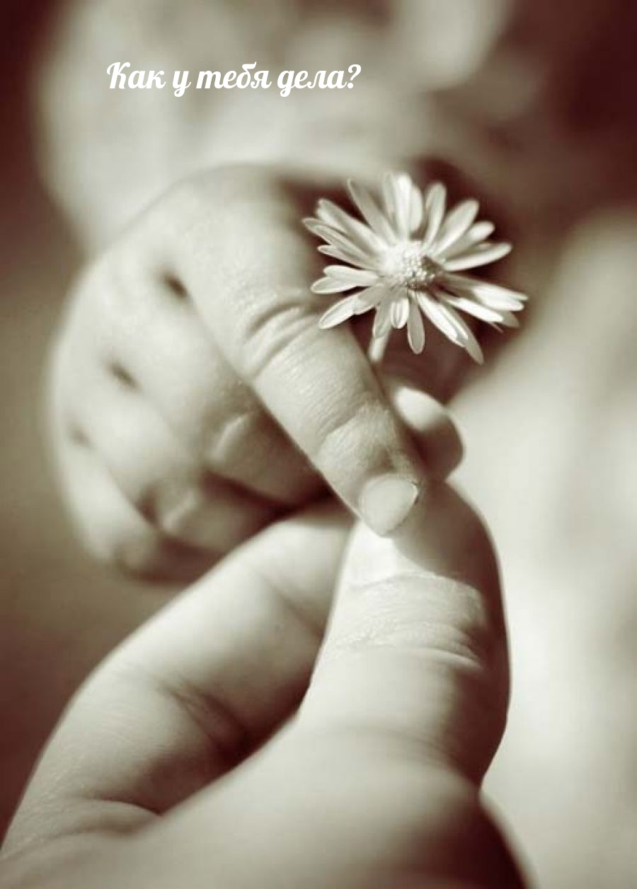 Мама нежные картинки. Трогательные цветы. Цветок в детской руке. Ребенок с цветком в руках. Цветочек в детской руке.