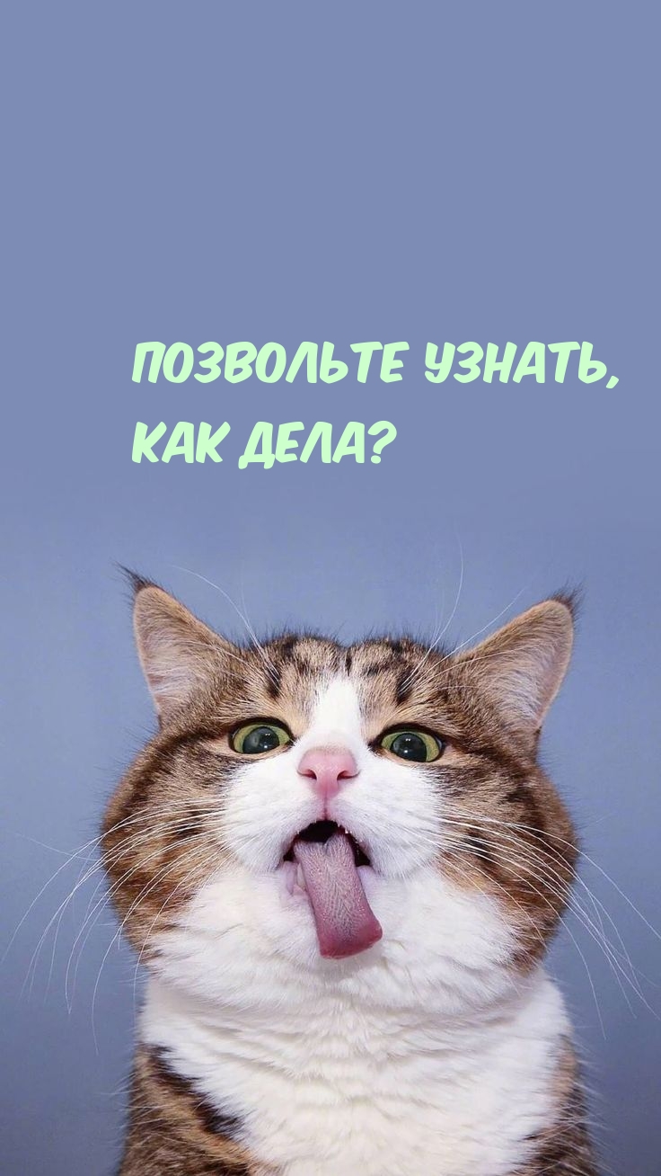  ,  ?