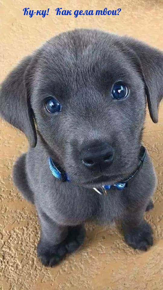 -!   ?.