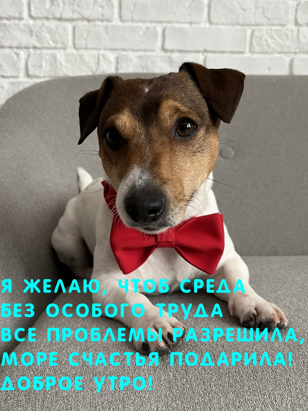 Я желаю, чтоб среда без особого труда