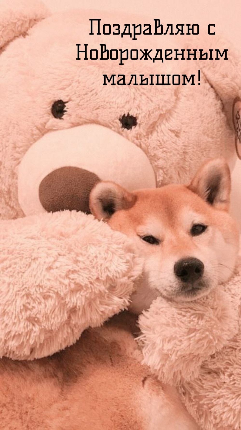  :    !