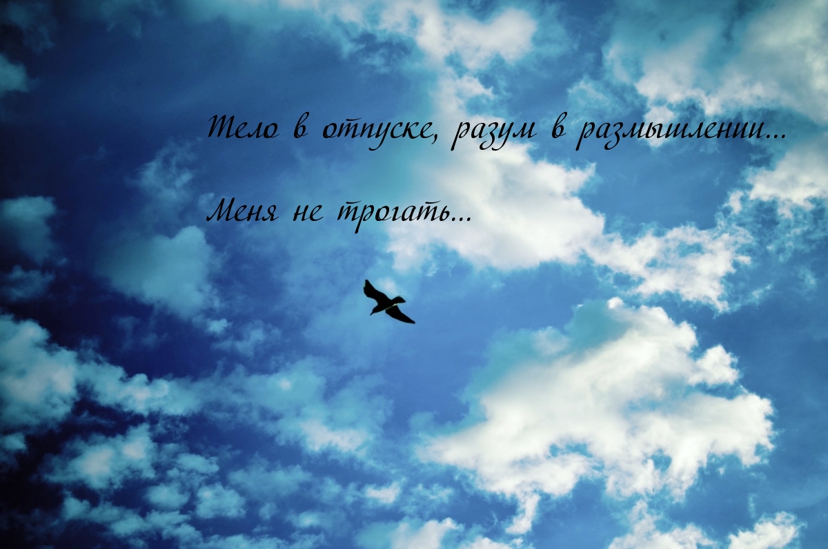   :   ,   ...   ...