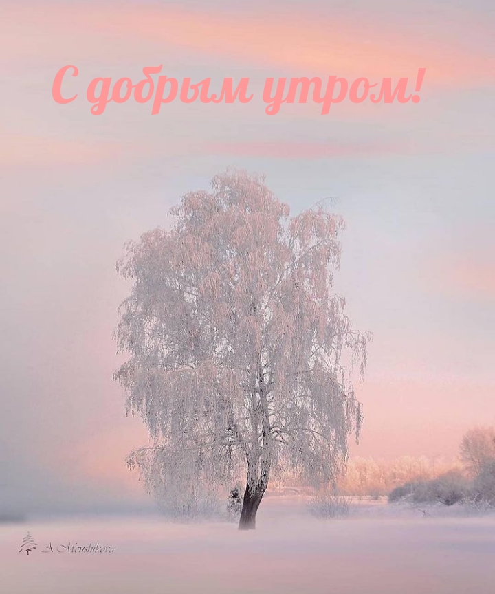 С добрым утром!.