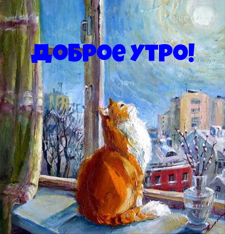   :  !