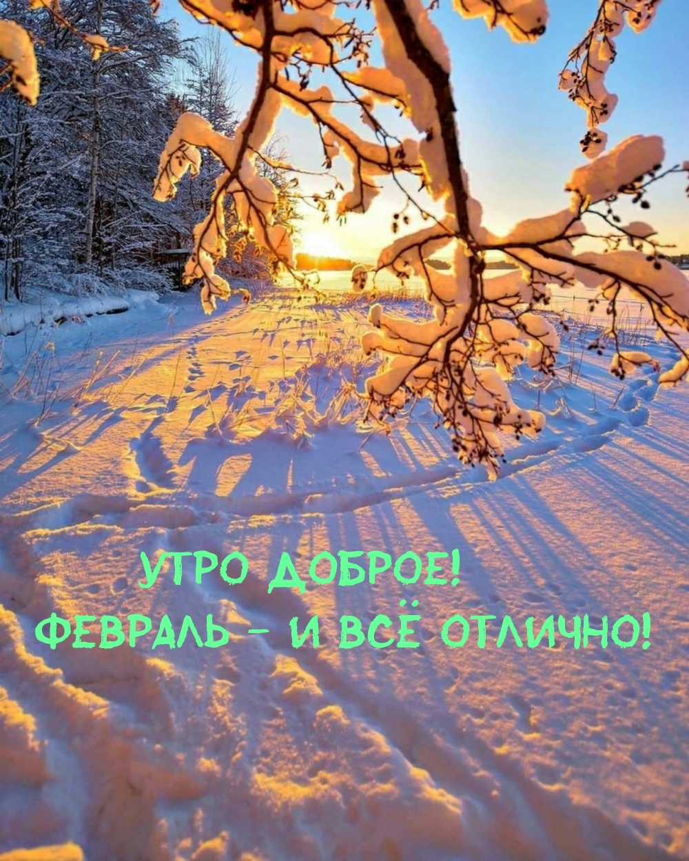   :  !  -   !