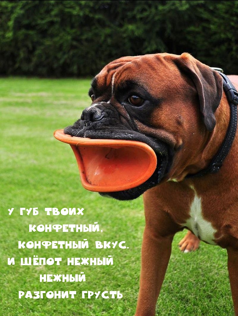    ,  .