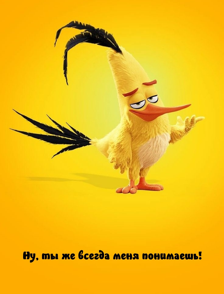   : ,     !