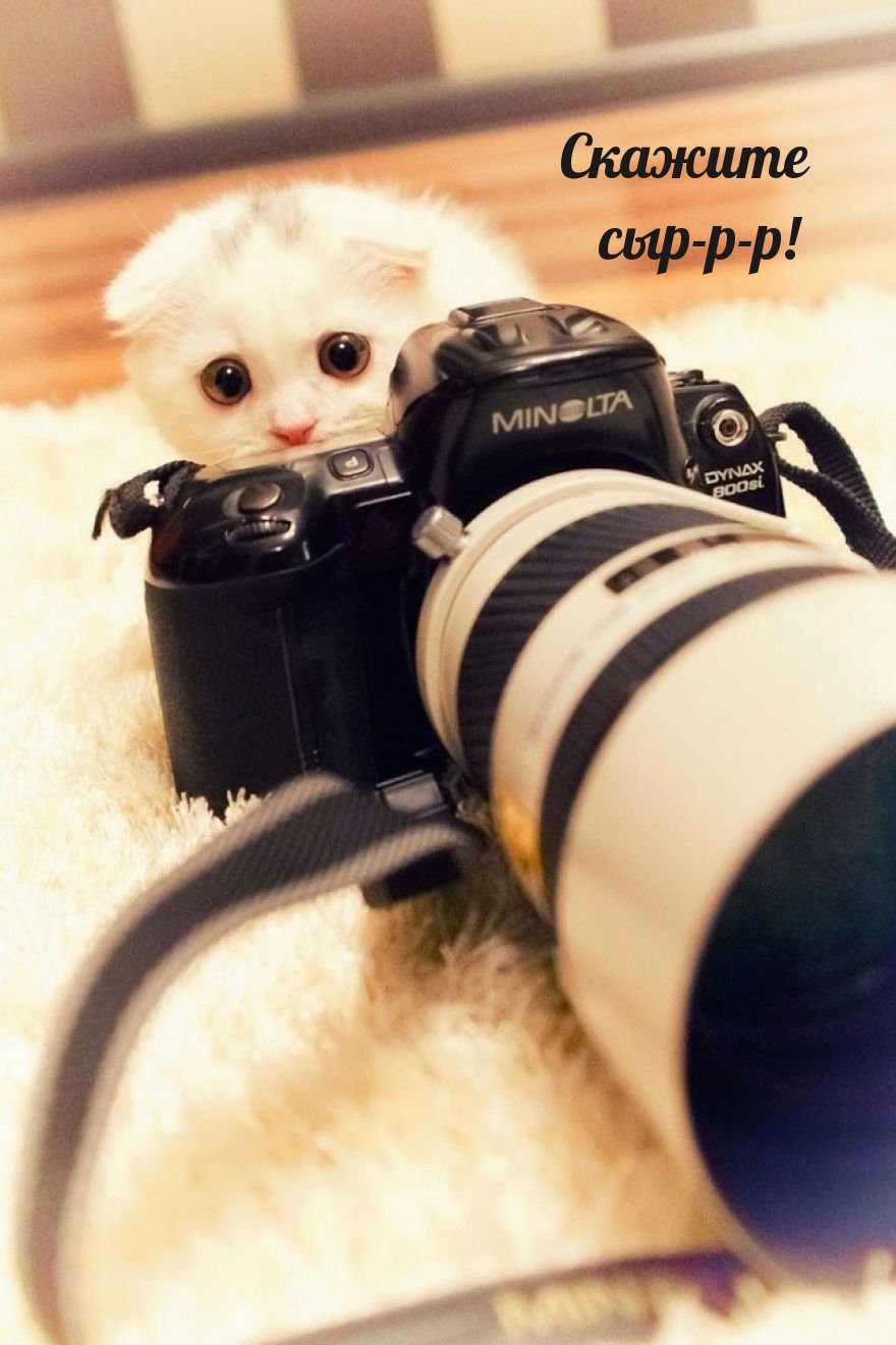  --!