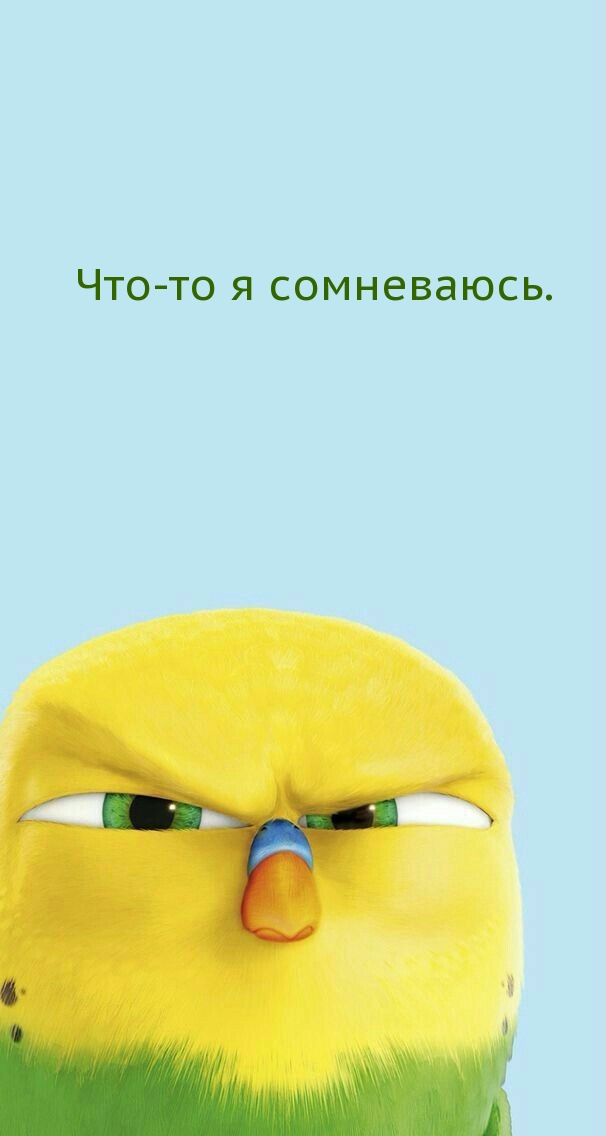  : -  .