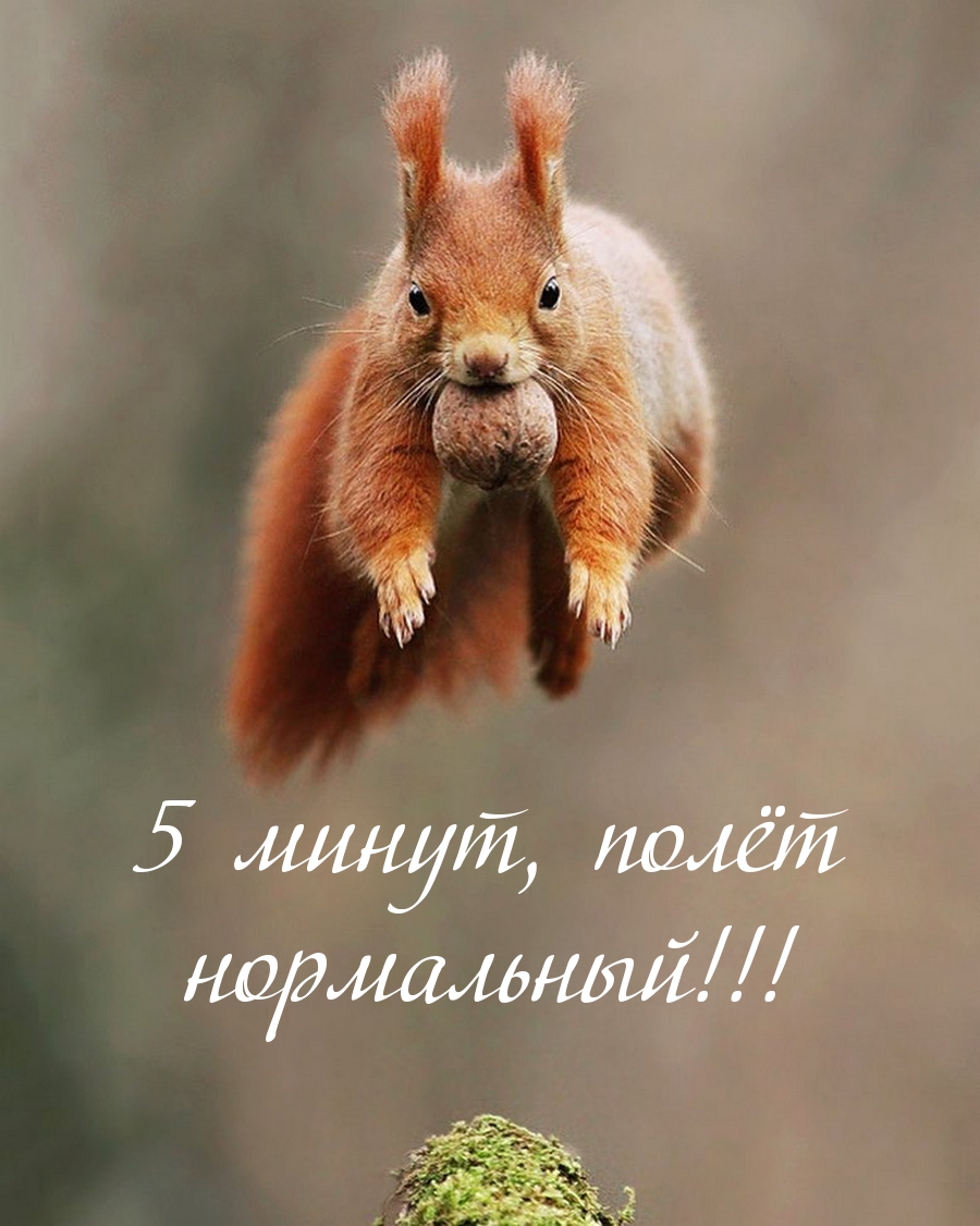 5 ,  !
