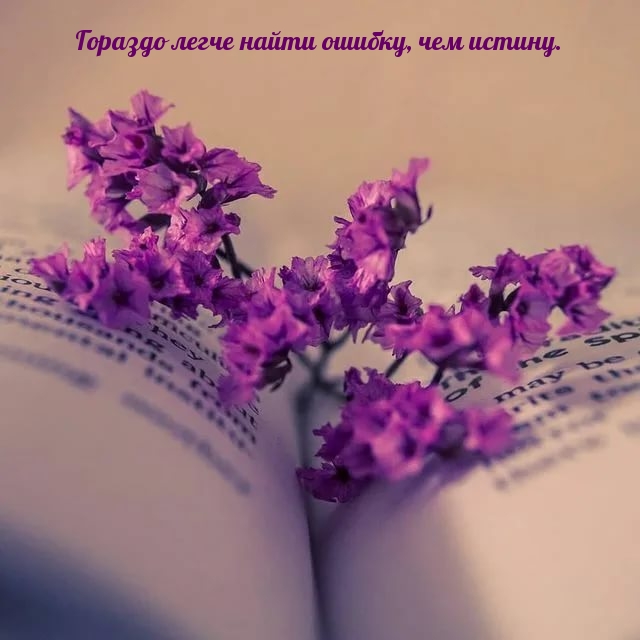 Гораздо легче найти ошибку, чем истину..