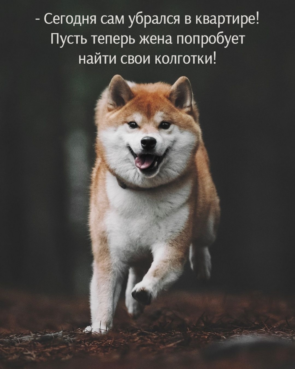     !     