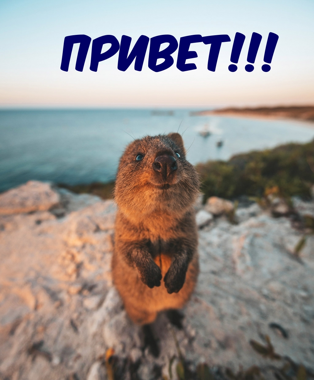   : !