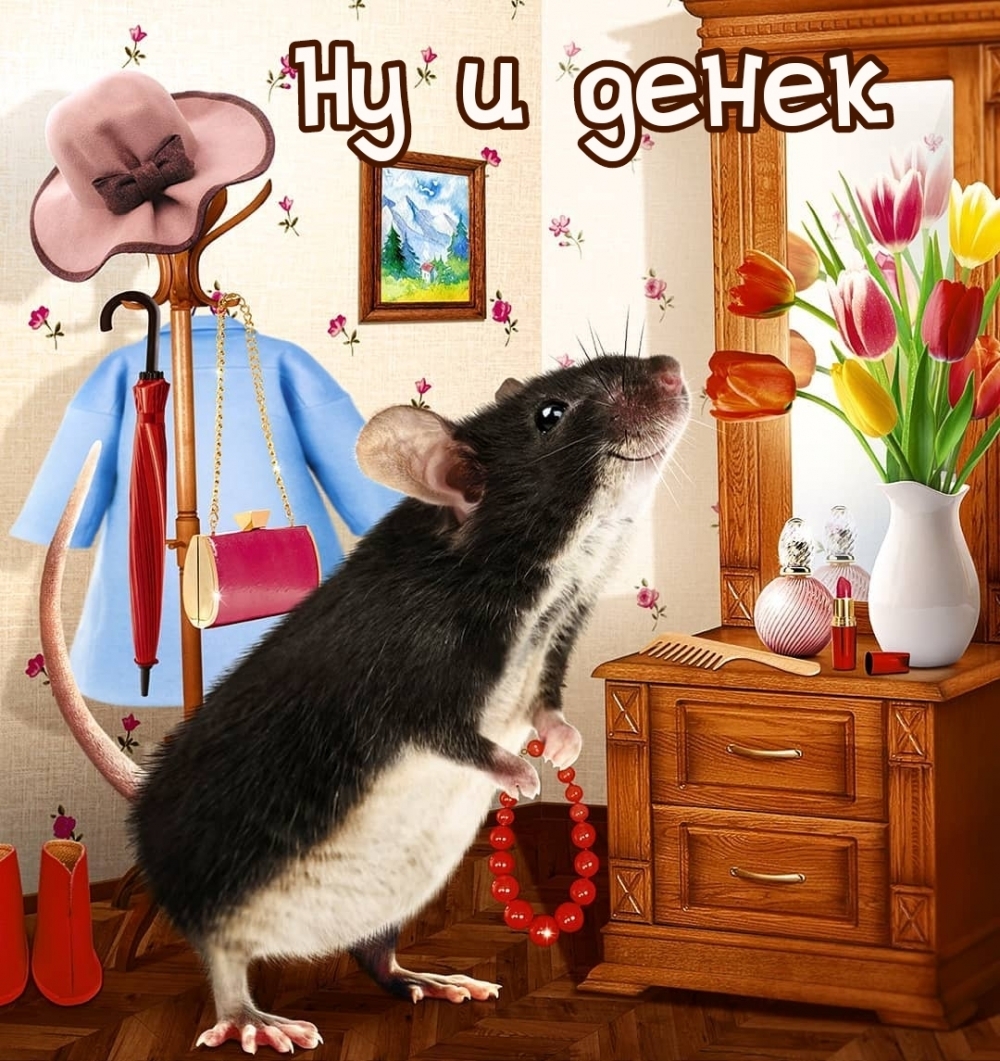   :   