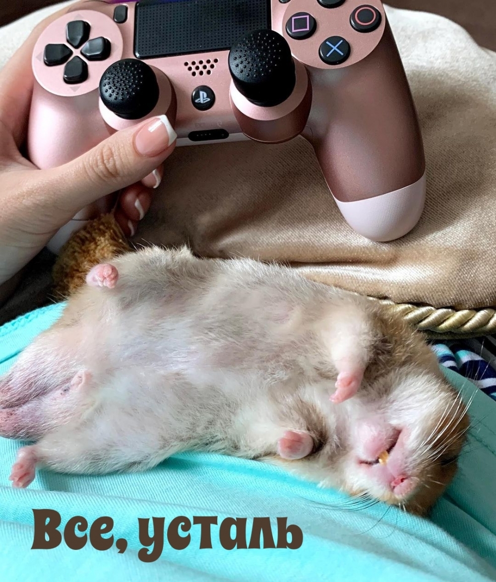 , 