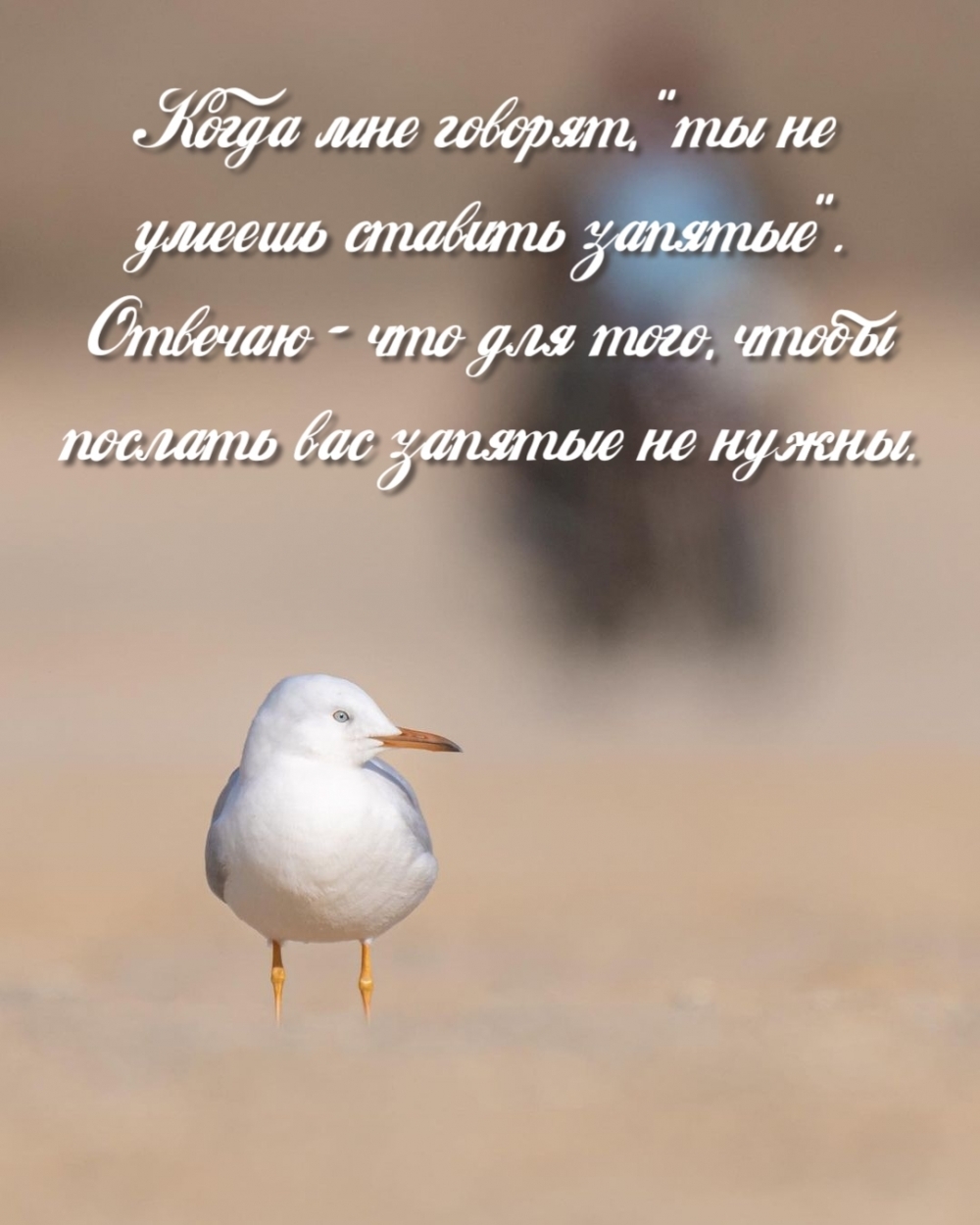  ,      .